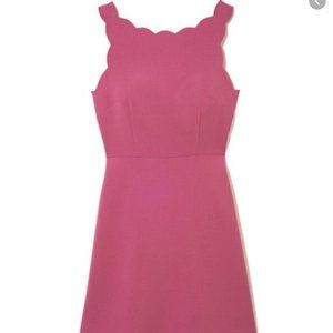 EUC LOFT Magenta Dress Sz 6P